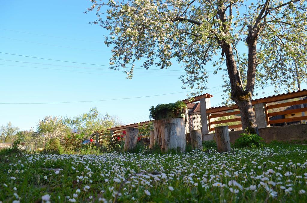 Villa Ribarica Exterior foto