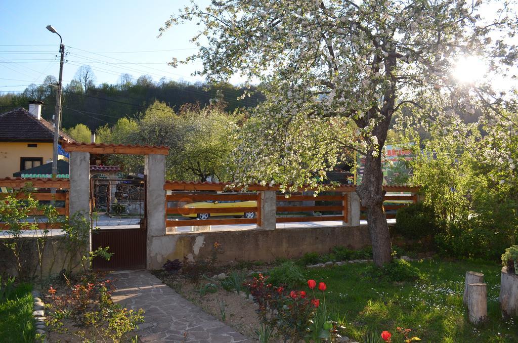 Villa Ribarica Exterior foto
