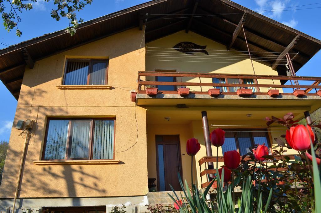 Villa Ribarica Exterior foto