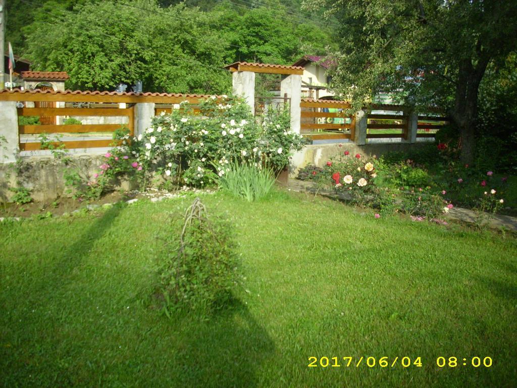 Villa Ribarica Exterior foto