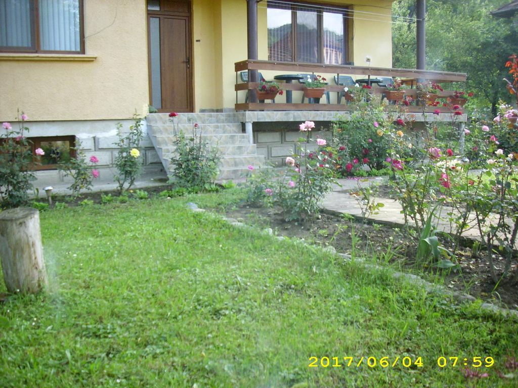 Villa Ribarica Exterior foto