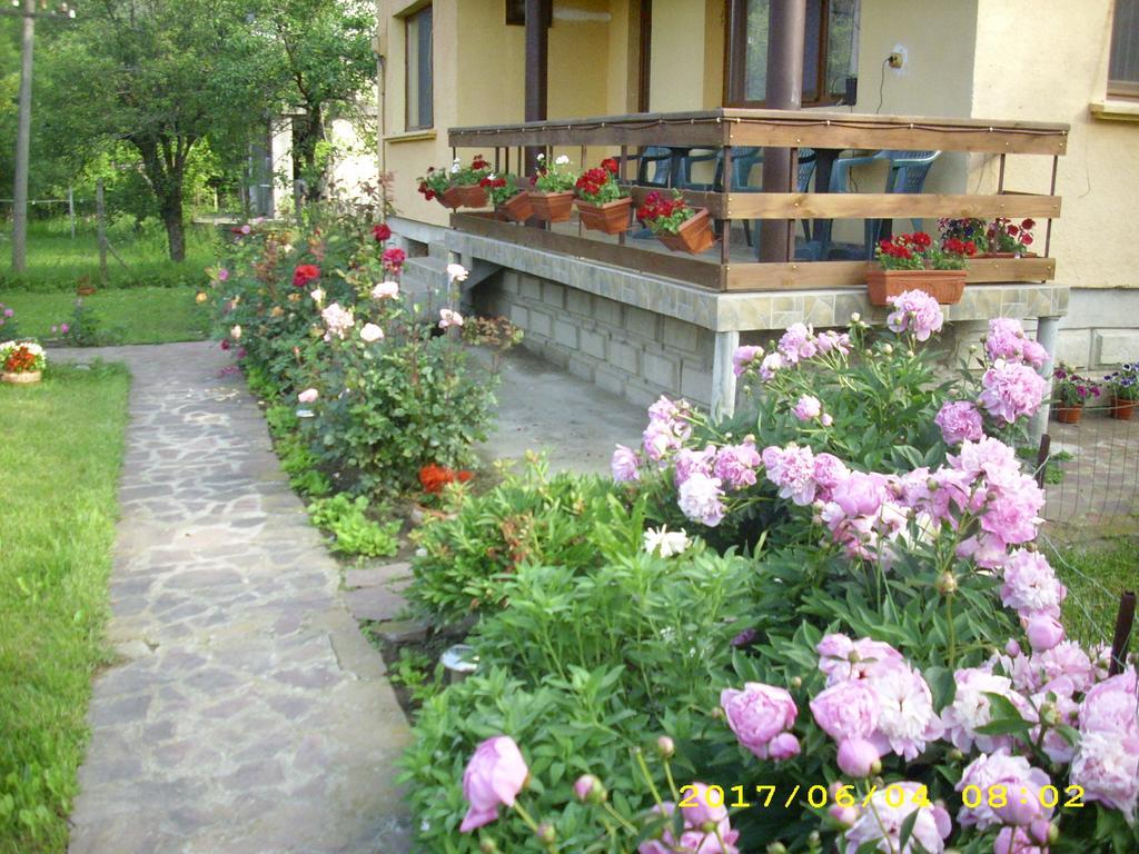 Villa Ribarica Exterior foto