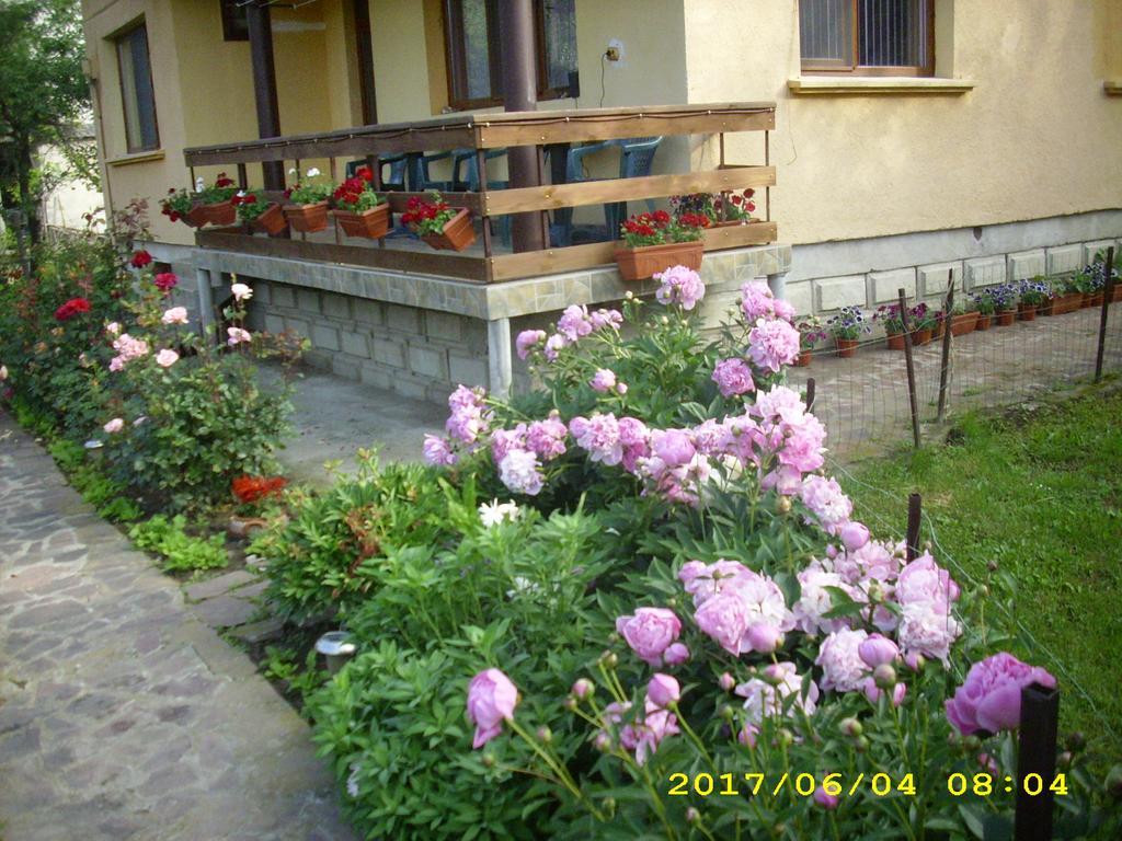 Villa Ribarica Exterior foto