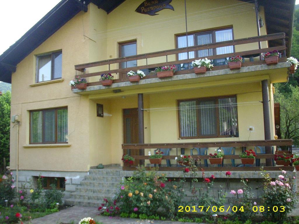 Villa Ribarica Exterior foto