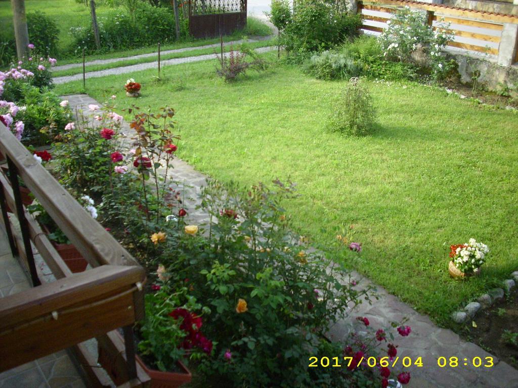 Villa Ribarica Exterior foto