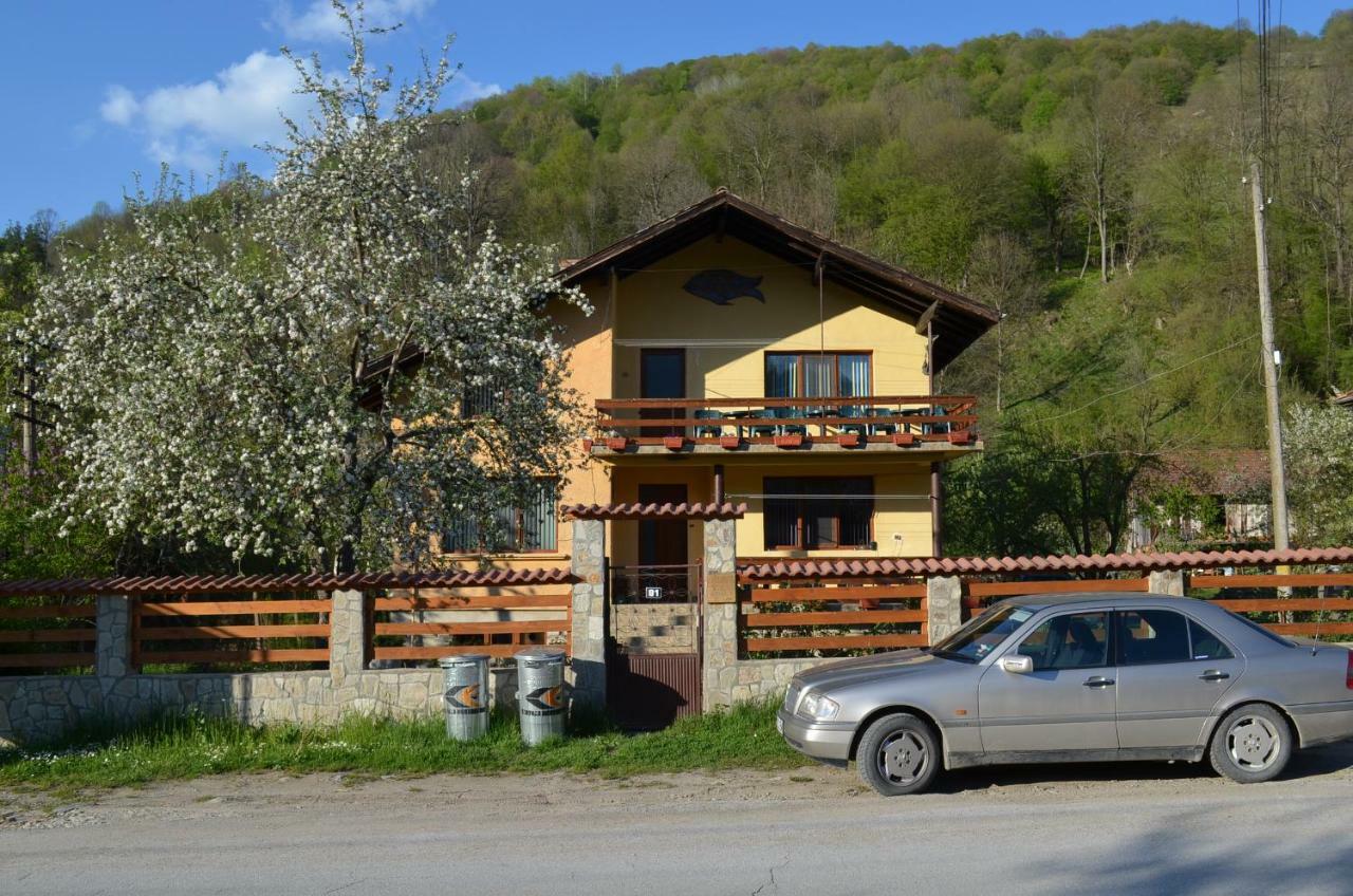Villa Ribarica Exterior foto